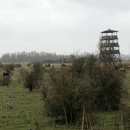 Water In Near Volkerak *