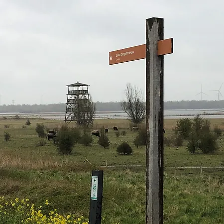 Water In Near Volkerak Prázdninový dům