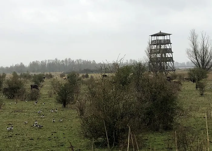 Water In Near Volkerak *