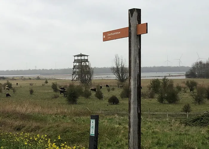 Water In Near Volkerak Дом отдыха